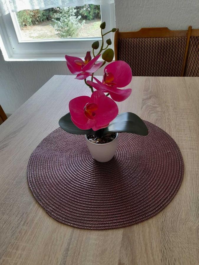 Apartment Ildiko Суботица Екстериор снимка